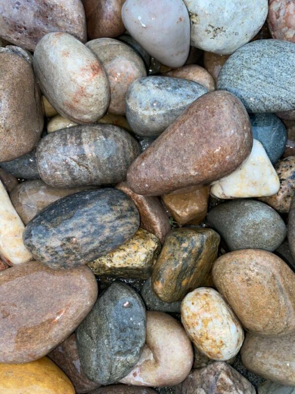 A close-up photo of smooth, multi-colored pebbles, possibly wet, showcasing a variety of earth tones.